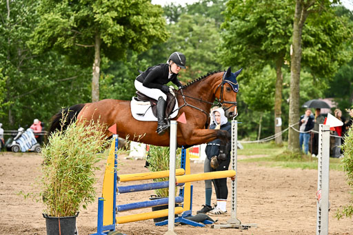 Goldene Schärpe Pferfde in Löningen 2026 | 14062026 Springen 1 Abt_377 
