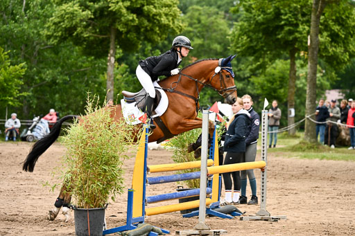 Goldene Schärpe Pferfde in Löningen 2026 | 14062026 Springen 1 Abt_409 