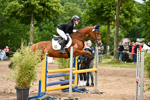 Goldene Schärpe Pferfde in Löningen 2026 | 14062026 Springen 1 Abt_410 