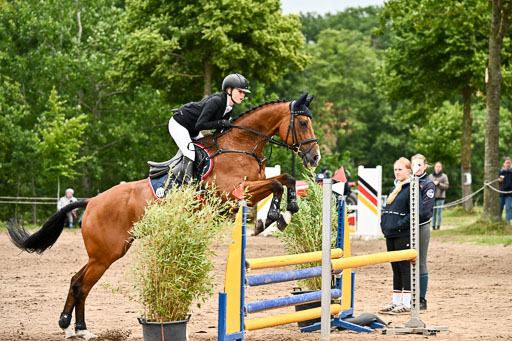 Goldene Schärpe Pferfde in Löningen 2026 | 14062026 Springen 1 Abt_420 