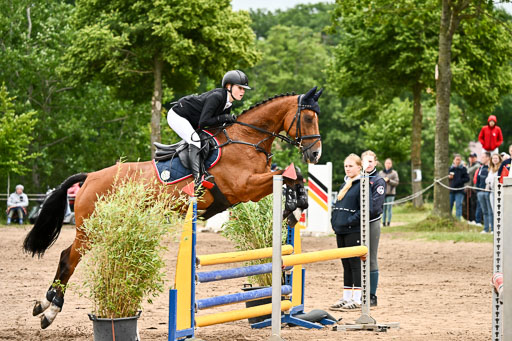 Goldene Schärpe Pferfde in Löningen 2026 | 14062026 Springen 1 Abt_421 