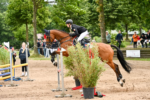 Goldene Schärpe Pferfde in Löningen 2026 | 14062026 Springen 1 Abt_427 