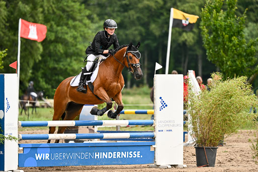 Goldene Schärpe Pferfde in Löningen 2026 | 14062026 Springen 1 Abt_440 