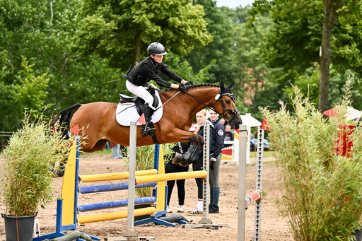 Goldene Schärpe Pferfde in Löningen 2026 | 14062026 Springen 1 Abt_442 