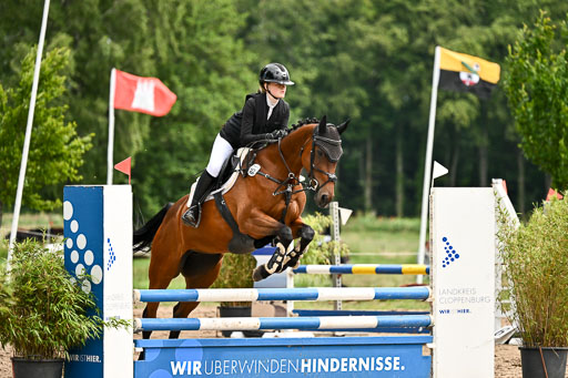 Goldene Schärpe Pferfde in Löningen 2026 | 14062026 Springen 1 Abt_450 