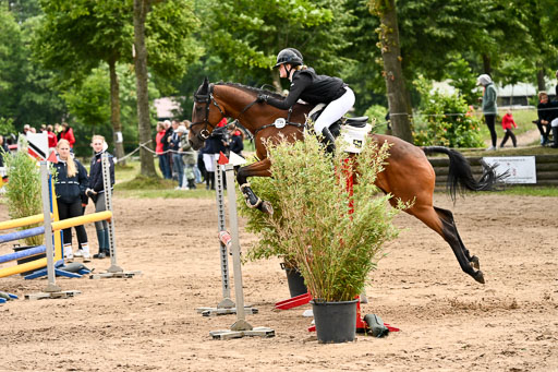 Goldene Schärpe Pferfde in Löningen 2026 | 14062026 Springen 1 Abt_460 