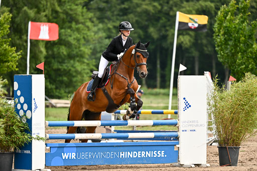 Goldene Schärpe Pferfde in Löningen 2026 | 14062026 Springen 1 Abt_461 