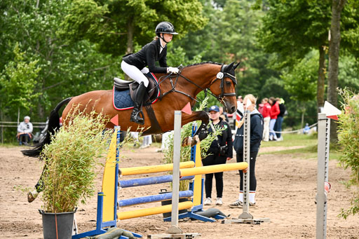 Goldene Schärpe Pferfde in Löningen 2026 | 14062026 Springen 1 Abt_464 