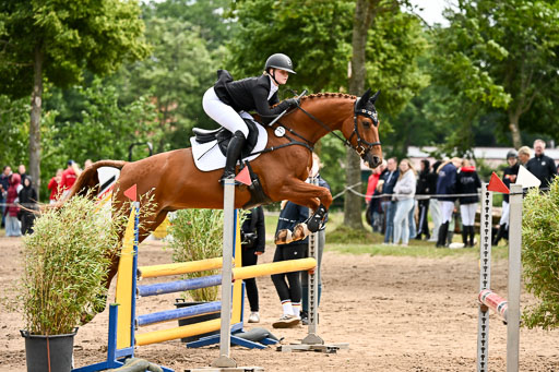 Goldene Schärpe Pferfde in Löningen 2026 | 14062026 Springen 1 Abt_474 