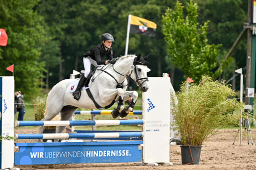 Goldene Schärpe Pferfde in Löningen 2026 | 14062026 Springen 1 Abt_482 