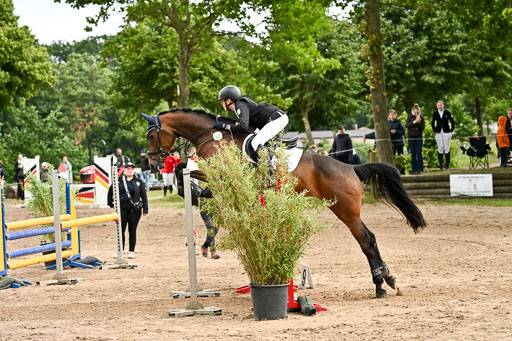 Goldene Schärpe Pferfde in Löningen 2026 | 14062026 Springen 2 Abt _008 