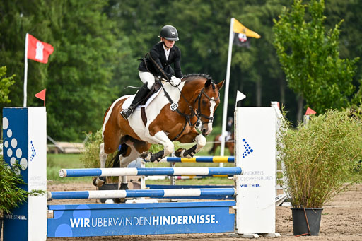 Goldene Schärpe Pferfde in Löningen 2026 | 14062026 Springen 2 Abt _009 