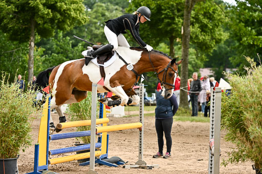 Goldene Schärpe Pferfde in Löningen 2026 | 14062026 Springen 2 Abt _010 
