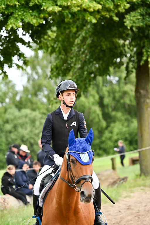 Goldene Schärpe Pferfde in Löningen 2026 | 14062026 Springen 2 Abt _017 