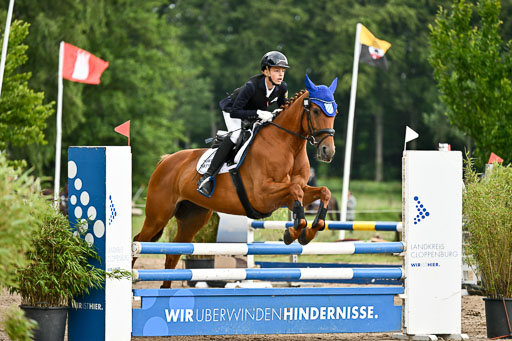 Goldene Schärpe Pferfde in Löningen 2026 | 14062026 Springen 2 Abt _018 