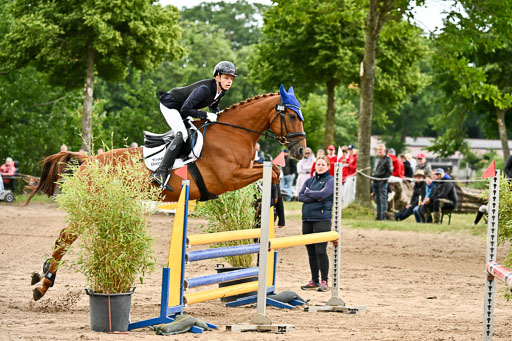 Goldene Schärpe Pferfde in Löningen 2026 | 14062026 Springen 2 Abt _020 