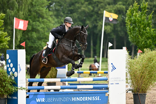 Goldene Schärpe Pferfde in Löningen 2026 | 14062026 Springen 2 Abt _030 