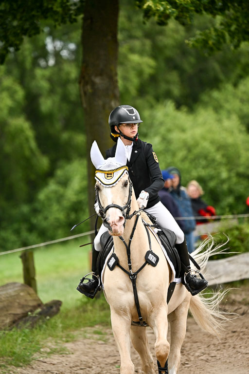 Goldene Schärpe Pferfde in Löningen 2026 | 14062026 Springen 2 Abt _038 