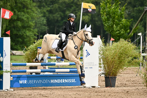 Goldene Schärpe Pferfde in Löningen 2026 | 14062026 Springen 2 Abt _041 