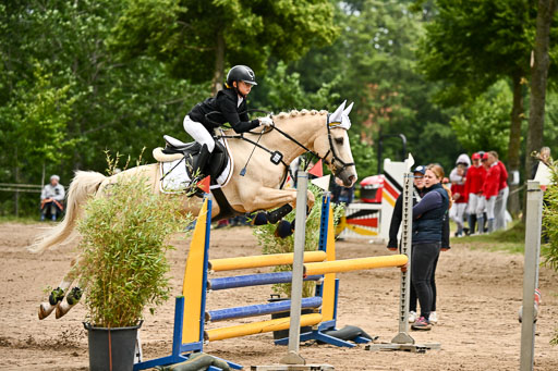Goldene Schärpe Pferfde in Löningen 2026 | 14062026 Springen 2 Abt _042 