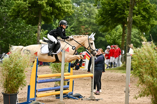 Goldene Schärpe Pferfde in Löningen 2026 | 14062026 Springen 2 Abt _043 