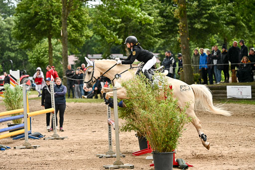Goldene Schärpe Pferfde in Löningen 2026 | 14062026 Springen 2 Abt _048 