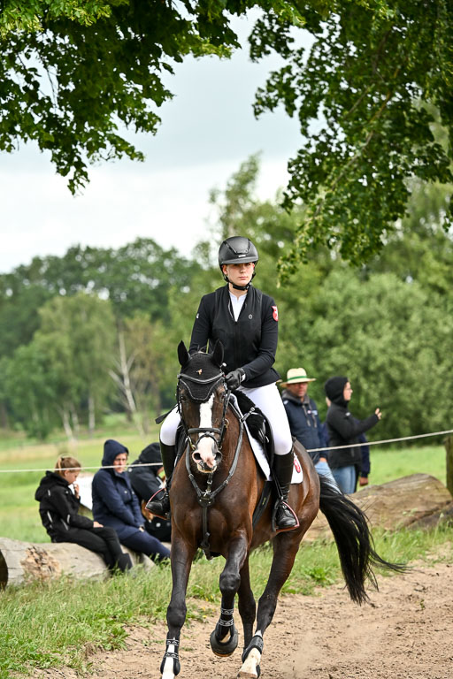Goldene Schärpe Pferfde in Löningen 2026 | 14062026 Springen 2 Abt _050 