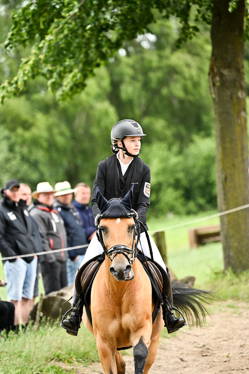 Goldene Schärpe Pferfde in Löningen 2026 | 14062026 Springen 2 Abt _059 