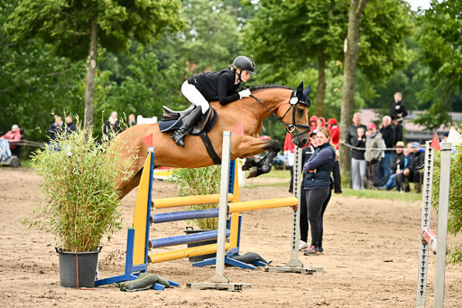 Goldene Schärpe Pferfde in Löningen 2026 | 14062026 Springen 2 Abt _062 