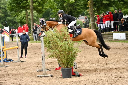 Goldene Schärpe Pferfde in Löningen 2026 | 14062026 Springen 2 Abt _068 