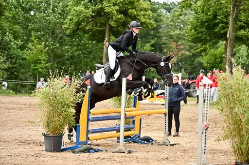 Goldene Schärpe Pferfde in Löningen 2026 | 14062026 Springen 2 Abt _072 