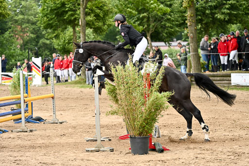 Goldene Schärpe Pferfde in Löningen 2026 | 14062026 Springen 2 Abt _078 