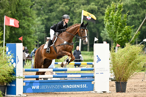 Goldene Schärpe Pferfde in Löningen 2026 | 14062026 Springen 2 Abt _080 