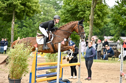 Goldene Schärpe Pferfde in Löningen 2026 | 14062026 Springen 2 Abt _083 