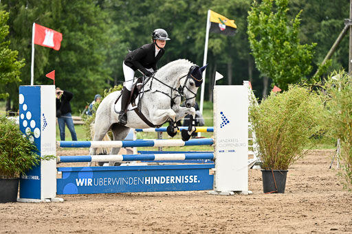Goldene Schärpe Pferfde in Löningen 2026 | 14062026 Springen 2 Abt _092 