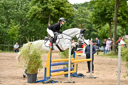Goldene Schärpe Pferfde in Löningen 2026 | 14062026 Springen 2 Abt _093 
