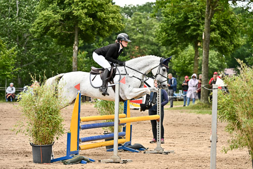 Goldene Schärpe Pferfde in Löningen 2026 | 14062026 Springen 2 Abt _094 