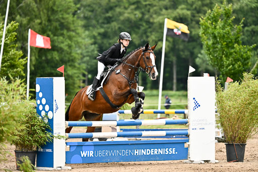 Goldene Schärpe Pferfde in Löningen 2026 | 14062026 Springen 2 Abt _104 