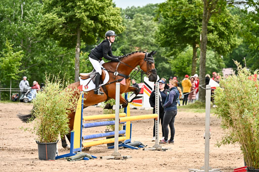 Goldene Schärpe Pferfde in Löningen 2026 | 14062026 Springen 2 Abt _118 
