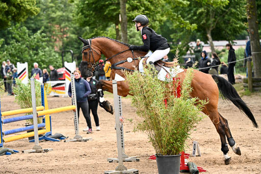Goldene Schärpe Pferfde in Löningen 2026 | 14062026 Springen 2 Abt _127 