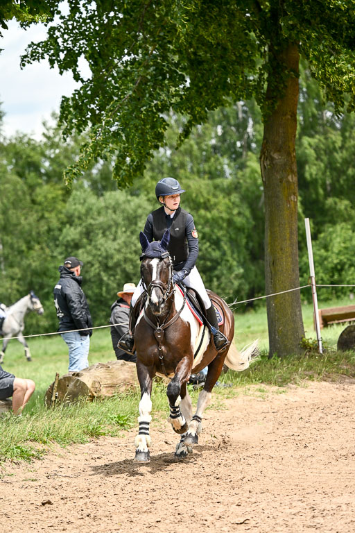 Goldene Schärpe Pferfde in Löningen 2026 | 14062026 Springen 2 Abt _138 