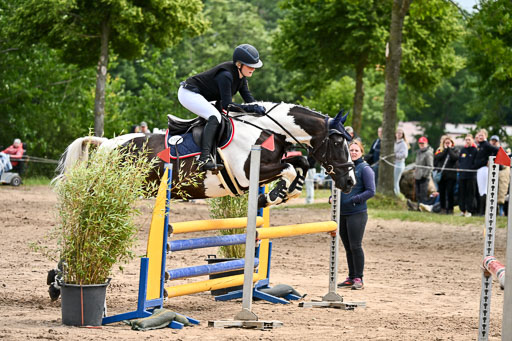 Goldene Schärpe Pferfde in Löningen 2026 | 14062026 Springen 2 Abt _140 