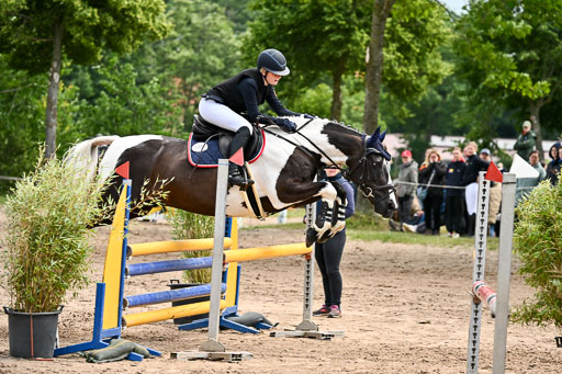 Goldene Schärpe Pferfde in Löningen 2026 | 14062026 Springen 2 Abt _141 