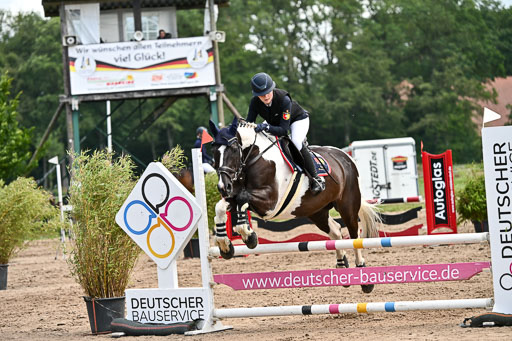 Goldene Schärpe Pferfde in Löningen 2026 | 14062026 Springen 2 Abt _147 