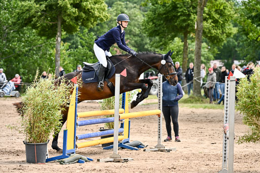 Goldene Schärpe Pferfde in Löningen 2026 | 14062026 Springen 2 Abt _153 