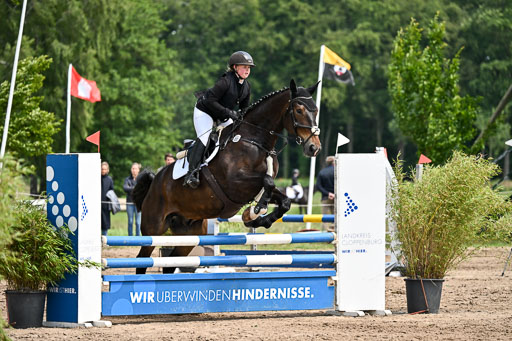 Goldene Schärpe Pferfde in Löningen 2026 | 14062026 Springen 2 Abt _159 