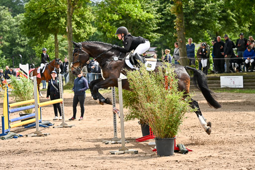 Goldene Schärpe Pferfde in Löningen 2026 | 14062026 Springen 2 Abt _168 