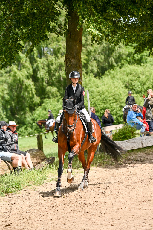 Goldene Schärpe Pferfde in Löningen 2026 | 14062026 Springen 2 Abt _169 