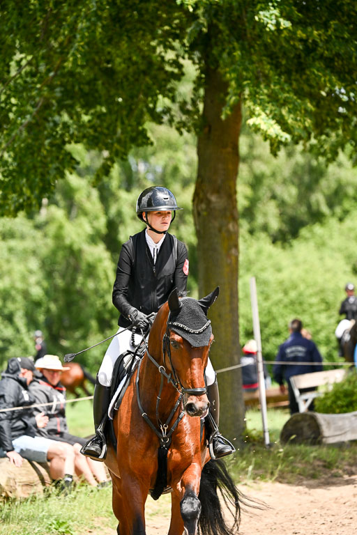 Goldene Schärpe Pferfde in Löningen 2026 | 14062026 Springen 2 Abt _170 