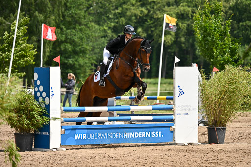 Goldene Schärpe Pferfde in Löningen 2026 | 14062026 Springen 2 Abt _172 